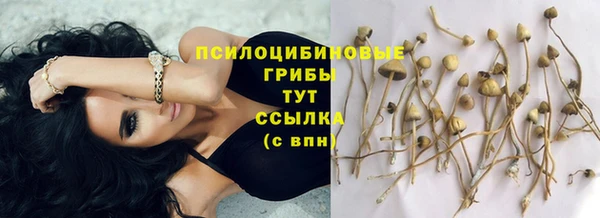 соль ск Алексеевка