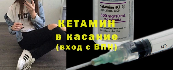 индика Алзамай