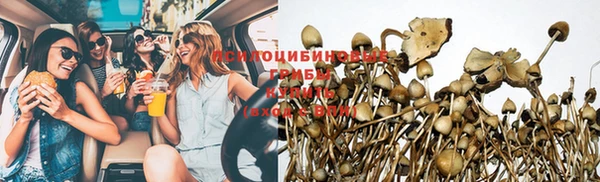 индика Алзамай