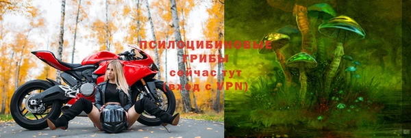 соль ск Алексеевка