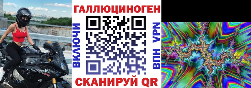 наркотики  Пустошка  Галлюциногенные грибы Psilocybine cubensis 